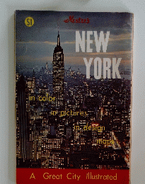 NEW YORK in color in pictures in design maps　