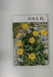 立山と花　2　土肥行雄　1992