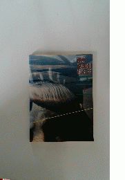 NEW ENGLISH MASTER JUNIOR COURSE 1