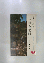 真田忍法異聞