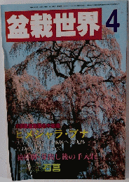 盆栽世界　1988年4月号
