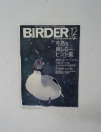 BIRDER　２００６年１２月号