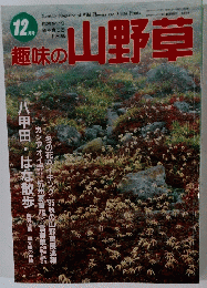 趣味の山野草　12月号
