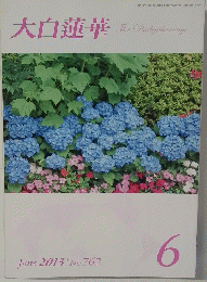 　大白蓮華 2013・06 No.762