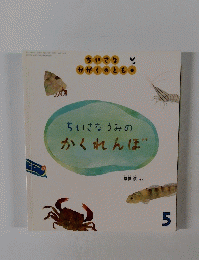 ちいさなうみの かくれんぼ　5