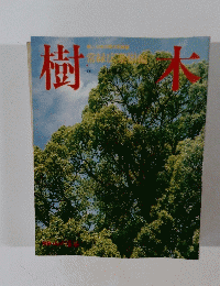 樹木　