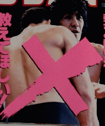 プロレス　1995　11/21 No703