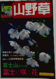 趣味の山野草　2002年1月号