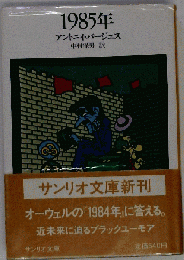 1985年