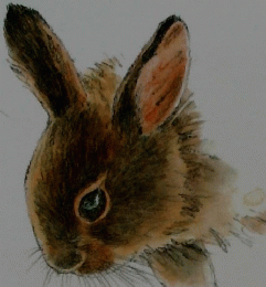 いわむらかずお 絵本の世界展
