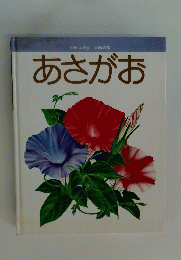 あさがお