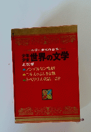 少年 少女世界の文学
