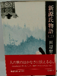 新源氏物語（三）