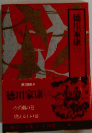 徳川家康　（三）　うず潮の巻