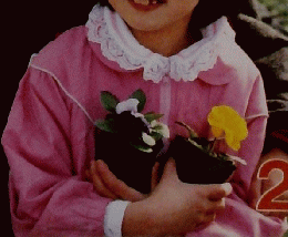 現代農業 1989年２月号