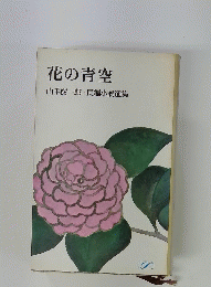 花の青空