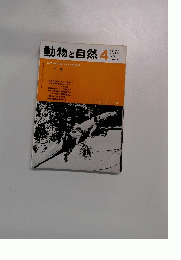 動物と自然　1978年4月号