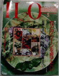 H2O 1994年5月