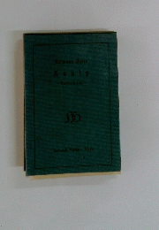 Hermann Hesse Koulp