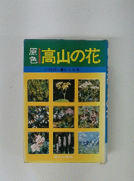 高山の花