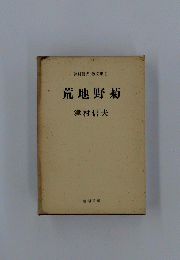荒地野菊