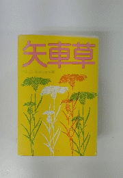 矢車草