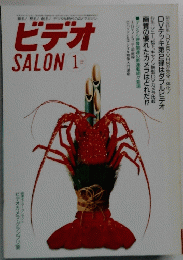 ビデオ　SALON　1