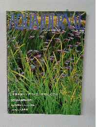 AQUA JOURNAL　2001年8月号