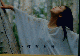 注しなき展望