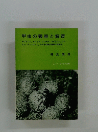 甲虫の観察と飼育