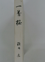 一番桜