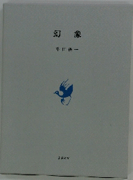 幻象
