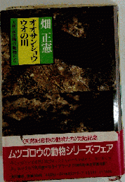 オオサンショウウオの川