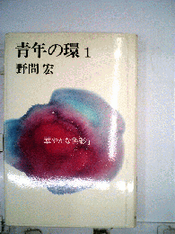 青年の環「1」華やかな色彩I