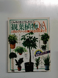 こんなときどうしたら?　観葉植物 Q&A　