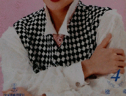 宝塚グラフ　1996年4月号