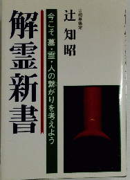 解霊新書