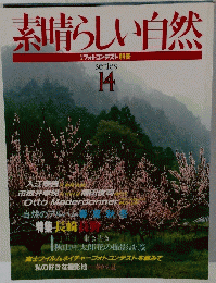 素晴らしい自然　１４