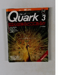 Quark　１９９５年３月号
