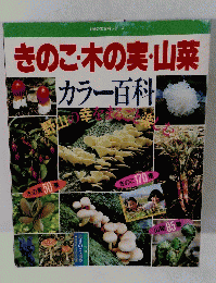 きのこ・木の実・山菜 カラー百科　