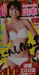 ヤングサンデー　　2008年1月21日号　