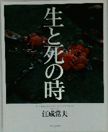 「生と死の時」