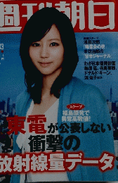 週刊朝日 2011年5月13日 