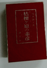 桔梗ヶ原の赤彦