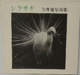 シラサギー今井寛写真集
