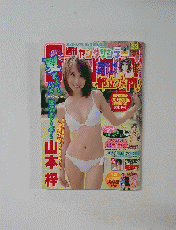 週刊ヤングサンデー　33