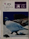遺伝 1972年5月号