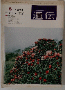 遺伝　1974年6月号
