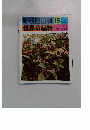 朝日百科 15　2月２９日号