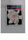 朝日百科　1７　３月１４日号　 世界の植物